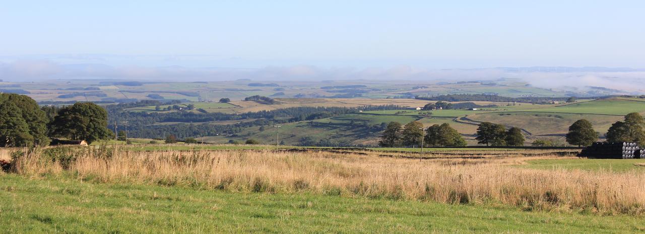 High Keenley Fell Farm Allendale ภายนอก รูปภาพ
